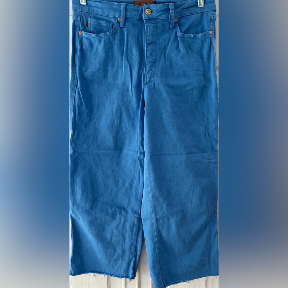 New never worn SZ 11/30 Judy Blue color Blue Jeans